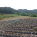 호두부동산공인중개사사무소 이미지