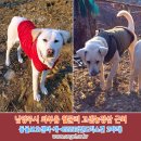 고센농장 이미지