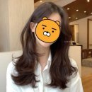 헤어로움 이미지