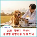 해운대 중동 동물병원(큰마음빌딩) | [공지] 2025년 상반기 부산시 광견병 예방접종 일정 안내(9.24일 업데이트)