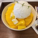 달브로 이미지