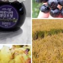 힐링농장 이미지