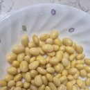 콩이야기 이미지