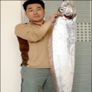 꼬리치는바다 Daum카페