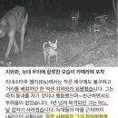 늑대보다 무서운 치와와 이미지