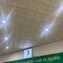 8커피 | 8개월 아기와 세텍_2026 커피&amp;베이커리박람회 방문 후기🖤 (주차 / 유모차 /수유실 가능)