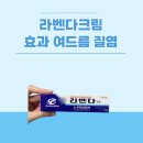 라벤더약국 이미지