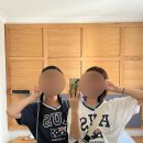 튜나퀸 | [호주워홀] 283~286일차 - 체력거지 시드니 여행2