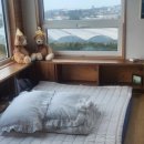 애월 쉴만한 물가 이미지