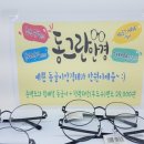 그레잇콘택트 이미지