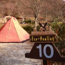 금대에코힐링캠핑장 이미지