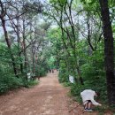 검단산(하남) 둘레길팀후기6/22 이미지