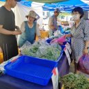 문양호농장 이미지