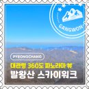 대관령전망대 | [평창] 대관령 겨울 명소 발왕산 스카이워크 360도 파노라마 전망대 추천