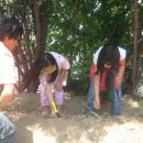 대전대문초등학교 이미지