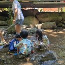 곰골산촌 이미지