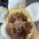 호밀공방 이미지