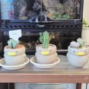 방배로 115 이미지