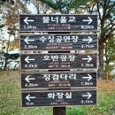 보문호반길 이미지