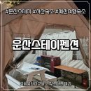 운산스테이 | 리솜워터파크숙소 추천, 서산 호수뷰 힐링 펜션 운산스테이 솔직후기 (리솜 스플라스근처숙소)