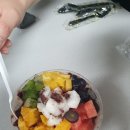 푸르티아 네이버블로그