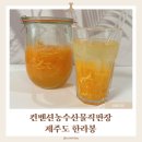농수산물직판장 | 컨벤션농수산물직판장에서 만난 제주도 한라봉｜집에서 즐기는 상큼한 프리미엄 과일 후기