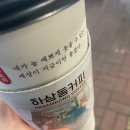 데일리엠카 | [일상 기록] 1월의 매기 : 250116~250131