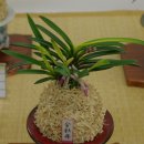 부천시청 이미지