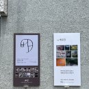 나무 | [경북/김천/신음동] 김천 신음동 시청 옆 갤러리 카페 배꼽