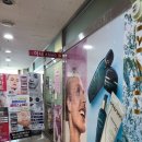 허니스킨바디 이미지