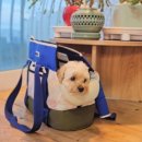 계곡식당 이미지