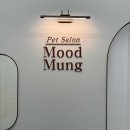무드뭉 이미지