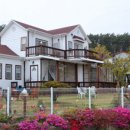 도담도담애견펜션 이미지