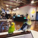 버드리농장 이미지