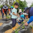 마곡5 해맑은어린이집 이미지