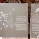 백운동계곡 이미지