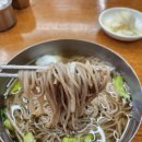 대동푸드 | 대구 3대 평양냉면 맛집 대동면옥 내돈내산 후기