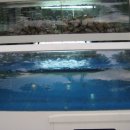 박지연명품생태 이미지