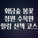 봄꽃체험코스 | 화담숲 봄꽃 정원 수목원 힐링 산책 코스
