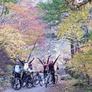 가을동화 이미지