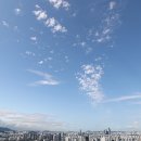 맑음