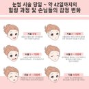 넬라스 네이버블로그