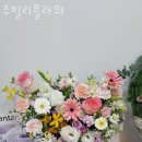 주빌리플라워
