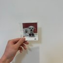 우댕댕 펫살롱 이미지