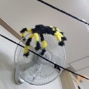 가야벽산상가 이미지