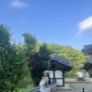[안동] 나는솔로에 나온 초벌구이 삼겹살 맛집, 제비원 삼겹(현지인 강추)