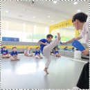 단국대 바른 태권도장 이미지