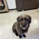 롯데백화점.수내역 이미지