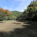 학가산우래자연휴양림 이미지