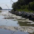 Antonio`s Farm 이미지